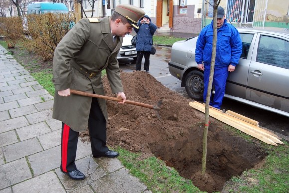 borondi_tabornok