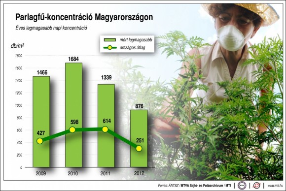 ragweed