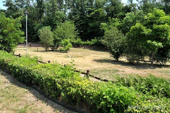 camp5